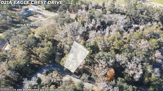 Listing photo 2 for LOT21A Eagle Crest Dr, Waverly GA 31565