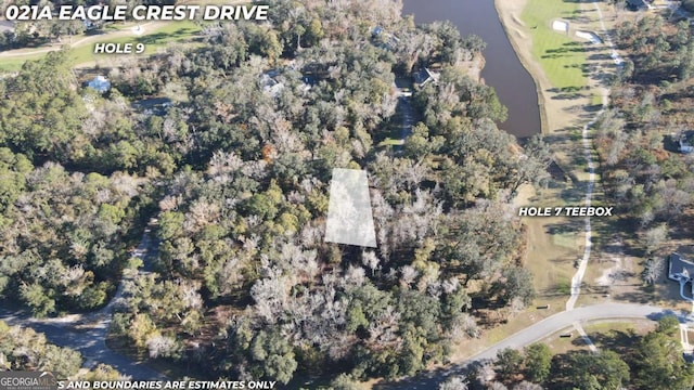 Listing photo 3 for LOT21A Eagle Crest Dr, Waverly GA 31565