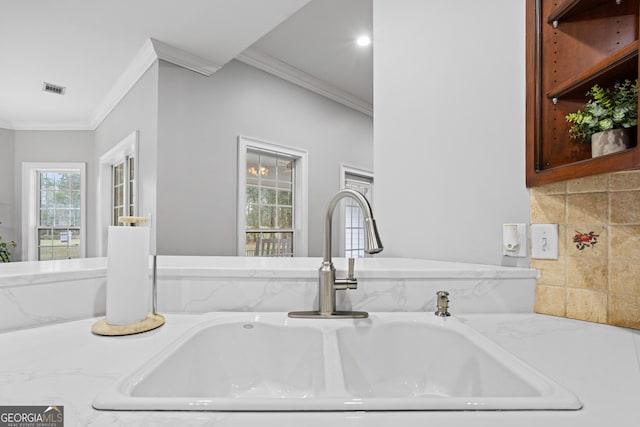 details featuring crown molding and sink