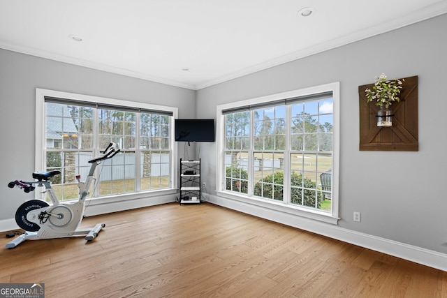 exercise area featuring ornamental molding and hardwood / wood-style flooring