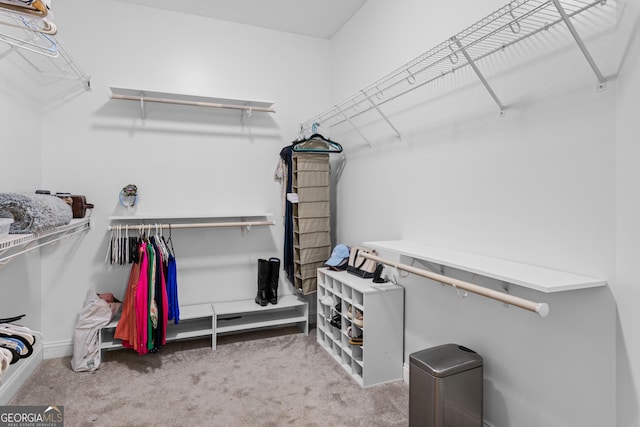 walk in closet with carpet floors