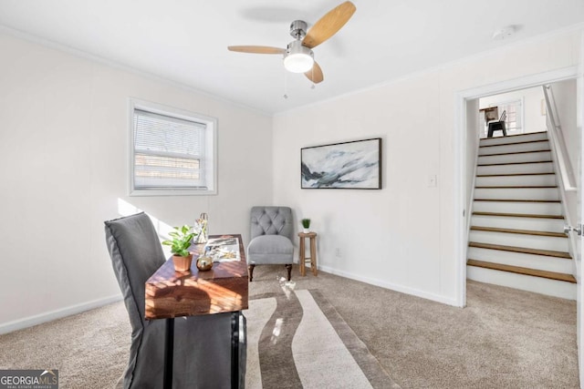 living area with carpet flooring, ceiling fan, and ornamental molding