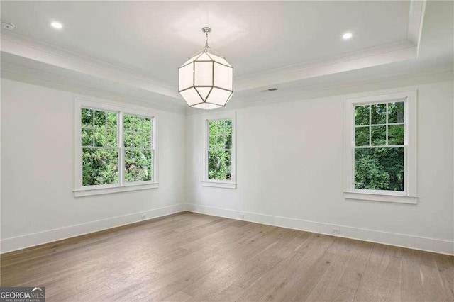 spare room featuring a tray ceiling, crown molding, and wood-type flooring