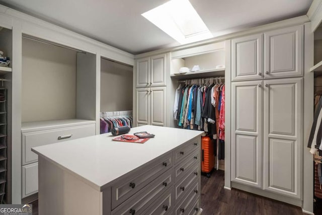 spacious closet with a skylight and dark hardwood / wood-style floors