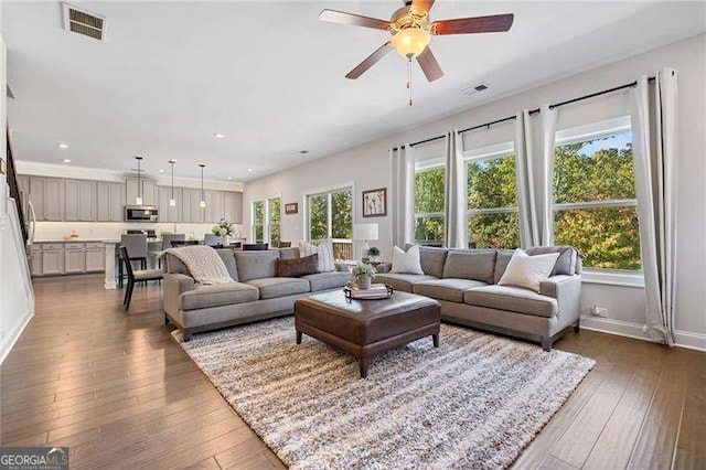 living room with ceiling fan and dark hardwood / wood-style floors