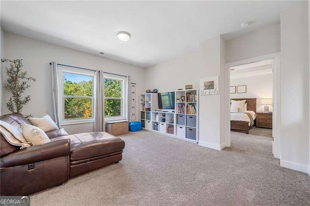 sitting room with light carpet