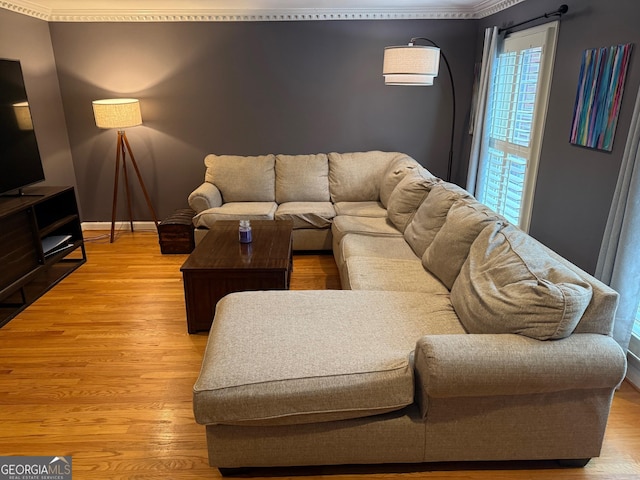 living room featuring crown molding and light wood-type flooring