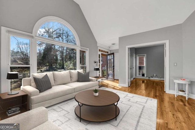 living room featuring hardwood / wood-style flooring and lofted ceiling