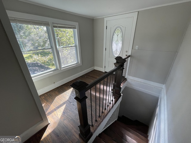 stairs featuring hardwood / wood-style flooring