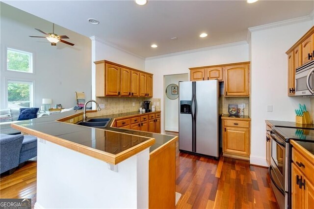 kitchen with ceiling fan, sink, kitchen peninsula, decorative backsplash, and appliances with stainless steel finishes