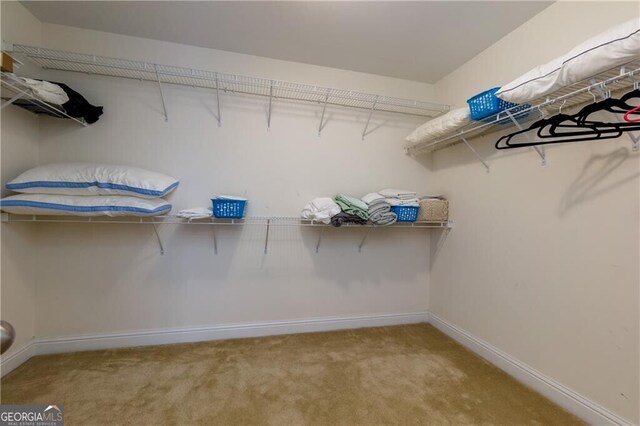 walk in closet with carpet