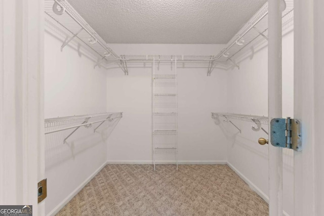 spacious closet featuring carpet