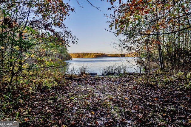 property view of water