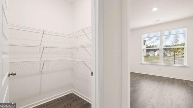 walk in closet featuring dark wood-type flooring