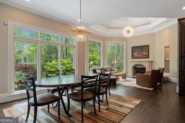 dining room featuring dark hardwood / wood-style floors, a raised ceiling, plenty of natural light, and a chandelier