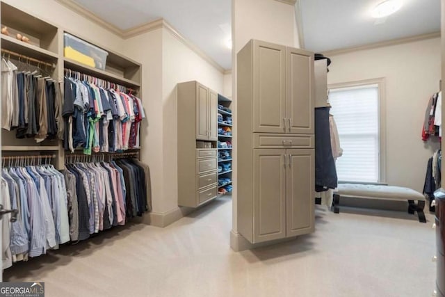 walk in closet with light carpet