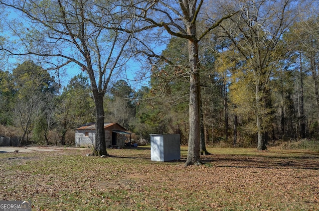 view of yard featuring a storage unit