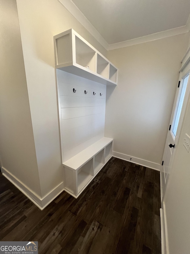 mudroom with dark hardwood / wood-style floors and ornamental molding