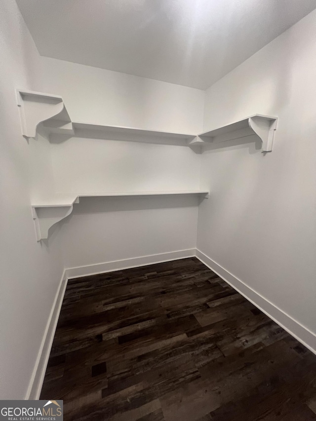 spacious closet featuring dark hardwood / wood-style floors