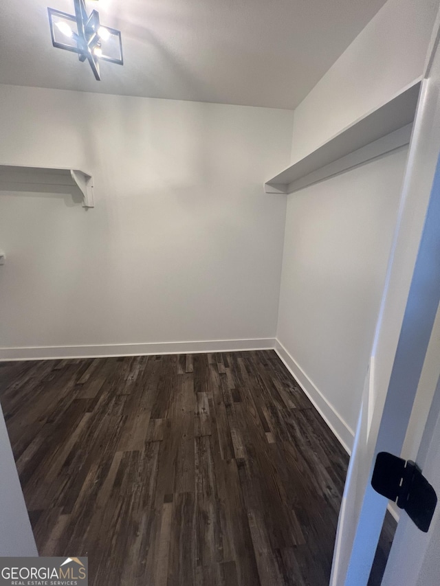 walk in closet with dark hardwood / wood-style flooring