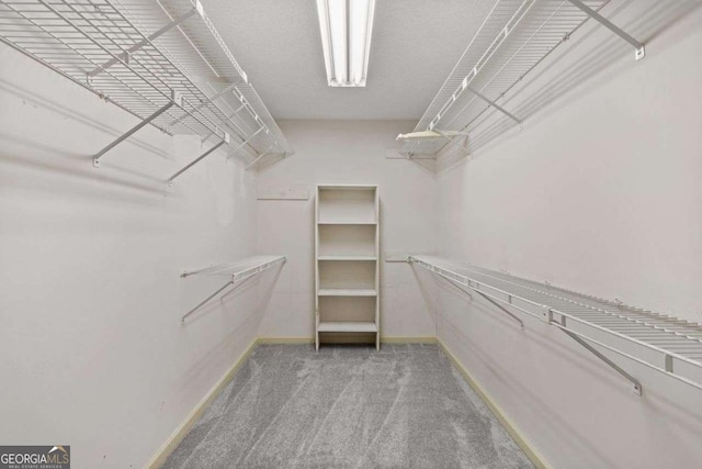 walk in closet with carpet