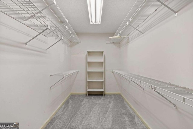 4116 River Cliff Chase SE, Marietta, GA 30067 - walk in closet featuring carpet floors
