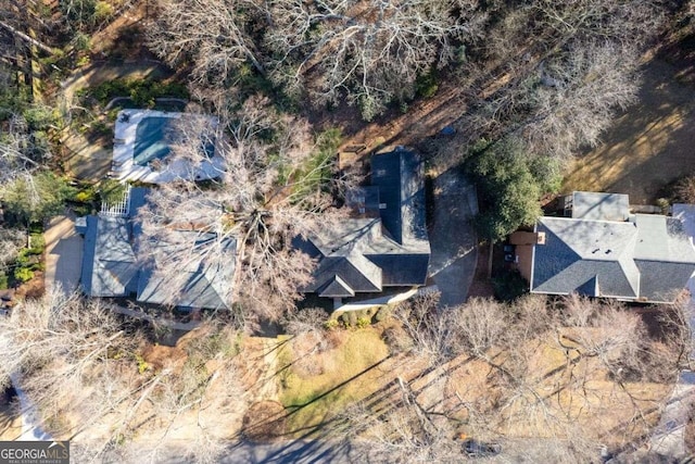 4116 River Cliff Chase SE, Marietta, GA 30067 - view from above of property