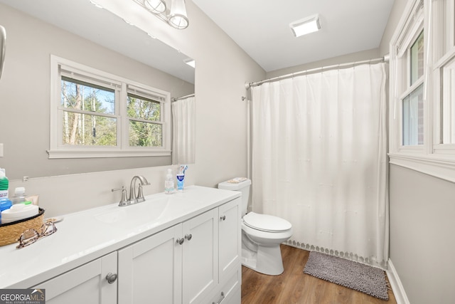 bathroom featuring wood-type flooring, vanity, and toilet