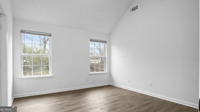 empty room featuring vaulted ceiling, a wealth of natural light, and dark wood-type flooring