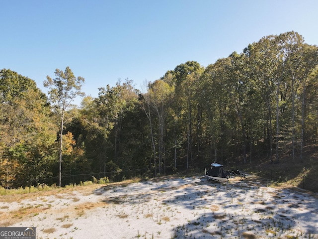 view of local wilderness