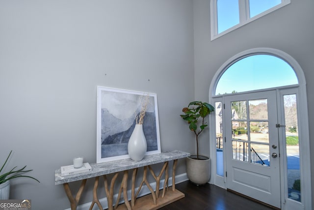 foyer entrance with dark wood-type flooring and a healthy amount of sunlight