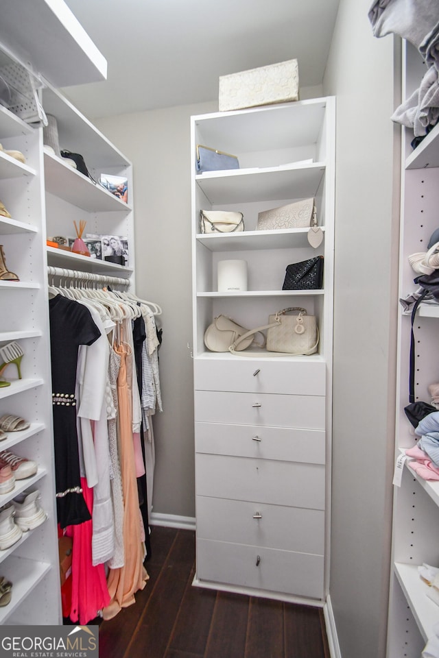 spacious closet featuring dark hardwood / wood-style floors