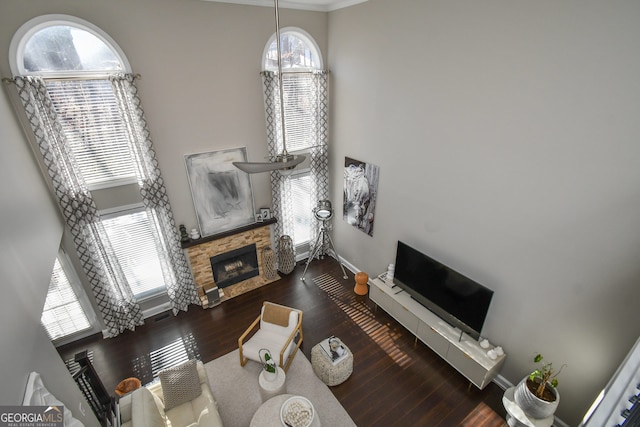 living room featuring dark hardwood / wood-style floors and a fireplace