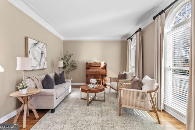 living room featuring crown molding and light hardwood / wood-style flooring