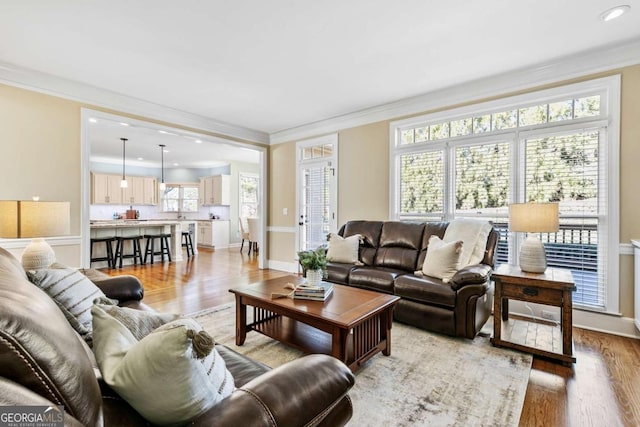 living room featuring plenty of natural light and ornamental molding