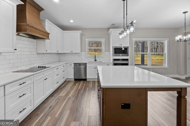 kitchen with a sink, wood finished floors, appliances with stainless steel finishes, backsplash, and custom range hood