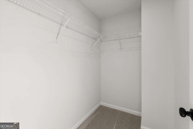 spacious closet with carpet