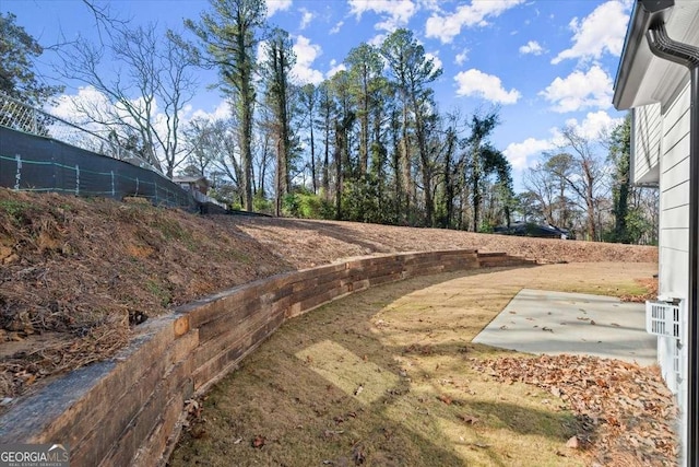 view of yard with a patio