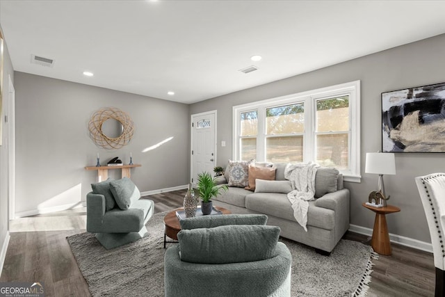 living room featuring dark wood-type flooring