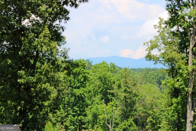 LOT12 High River Xing, Ellijay GA, 30540 land for sale