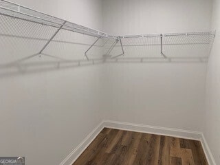 walk in closet featuring dark wood-style flooring