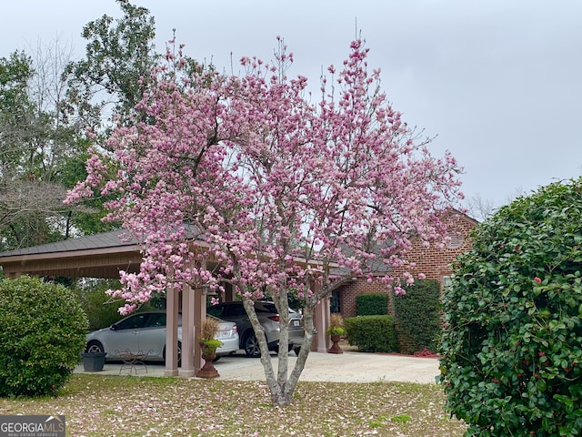 view of property hidden behind natural elements with a carport