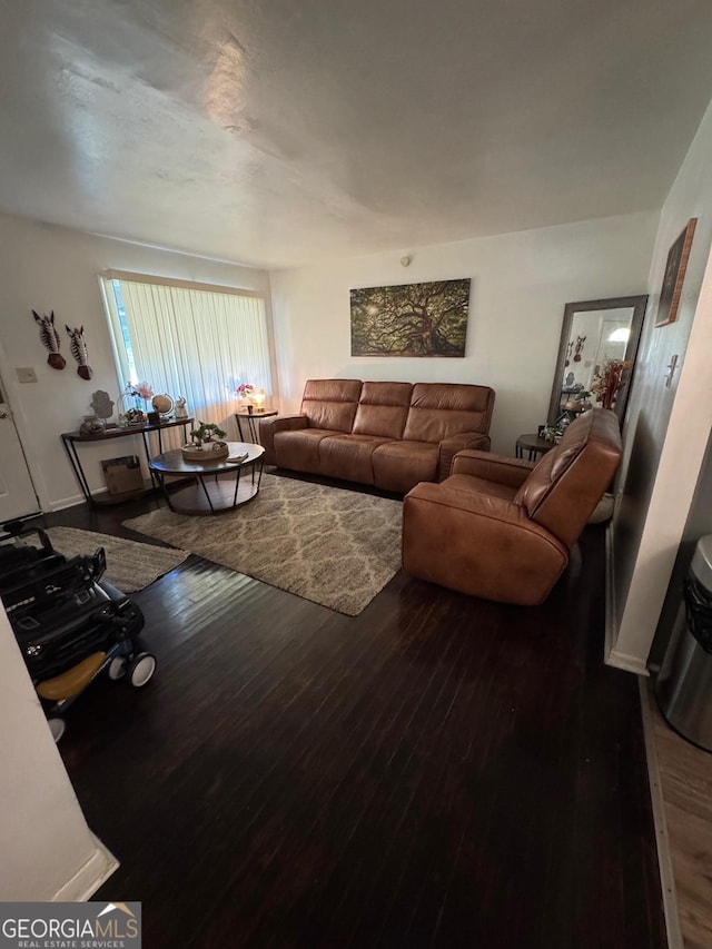 living room featuring wood-type flooring