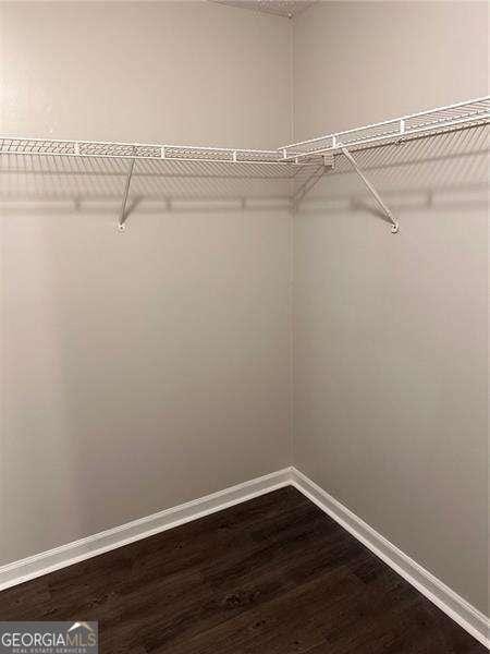 spacious closet featuring hardwood / wood-style floors