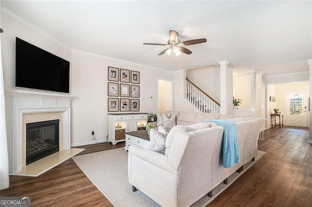 living room with crown molding, ceiling fan, and dark wood-type flooring