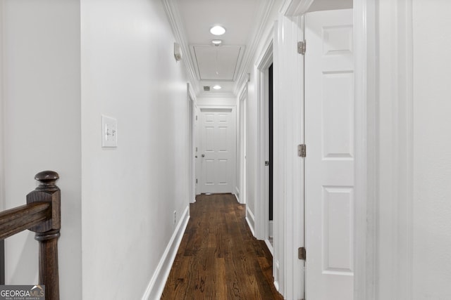 hall with crown molding and dark hardwood / wood-style floors