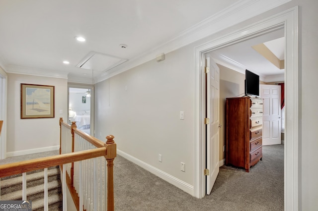 hall featuring crown molding and carpet floors