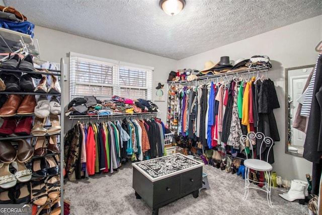 walk in closet with carpet