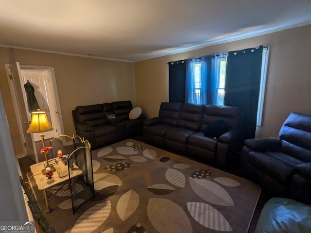 living room with ornamental molding