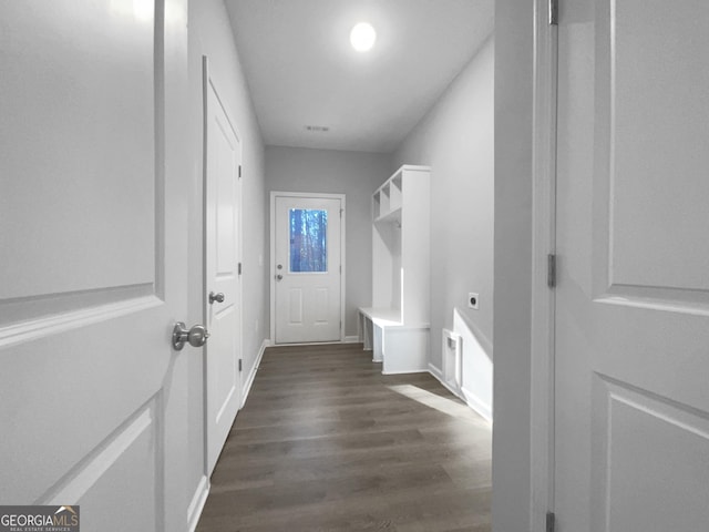 mudroom featuring dark wood-type flooring